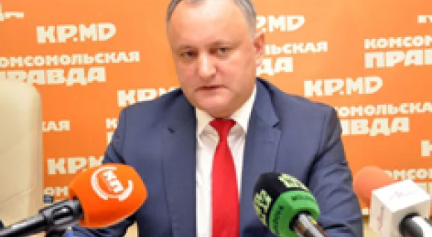 Мировые новости - Леса Севастополя обновят соснами и лиственными деревьями