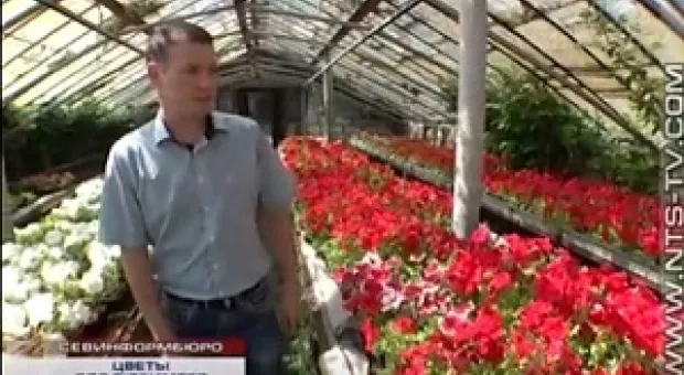Новости Севастополя - В ОНФ предлагают не снимать с контроля президентское поручение по модернизации здравоохранения в Крыму и Севастополе
