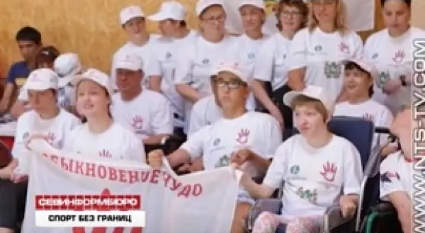 Новости Севастополя - Покусавшую подростка львицу перевезут в сафари-парк "Тайган" в Крыму