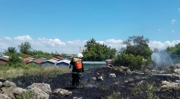 Новости Севастополя - #ПП. Улица Адмирала Макарова в Севастополе заросла мусором и травой