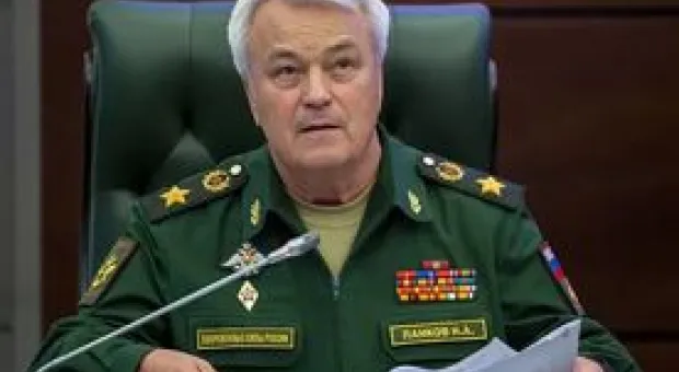Новости Севастополя - Севастопольский кот около года добирался в Сирию на военных судах