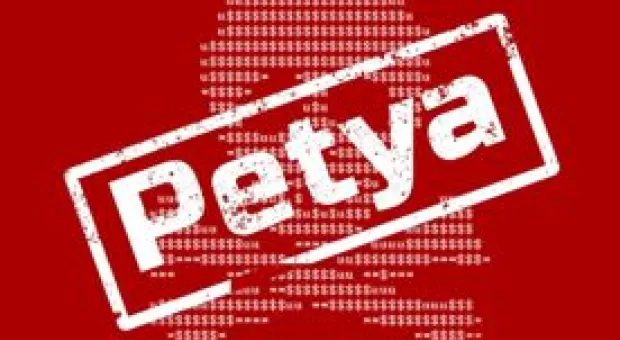 Новости Севастополя - В Севастополе всё чаще и чаще стала гореть сухая трава