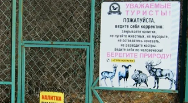 Новости Севастополя - Куда пойти в Севастополе 5–6 августа: фестиваль огненных театров и египетские образы