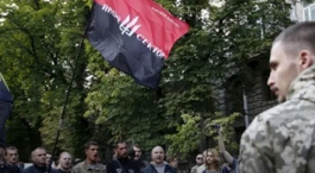 Мировые новости - Сирийская делегация гостит в Севастополе