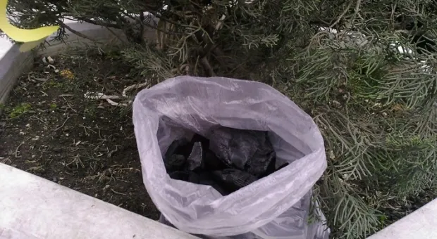 В Севастополе была установлена «экологически грязная елка»