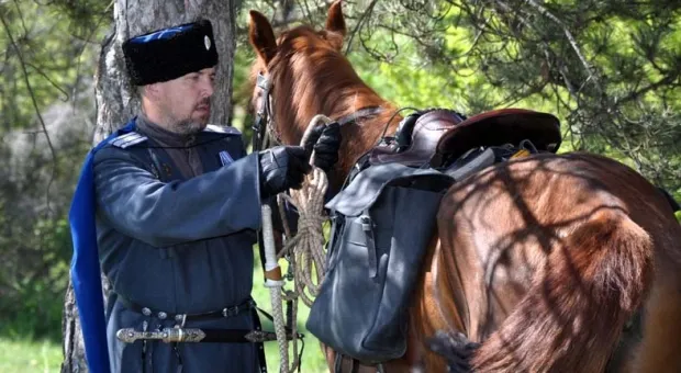 Из Севастополя с Сапун-горы стартовал казачий конный поход по Крыму. Жеребенок Гектор — равноправный участник похода
