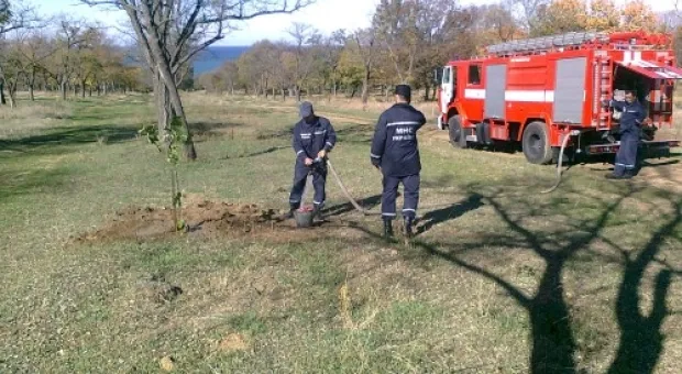 23 октября активисты ОО «Развитие Севастополя» высадили 58 саженцев клена на Северной стороне в Учкуевском парке