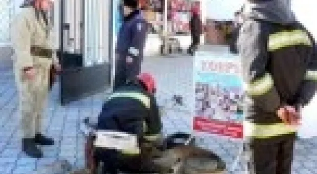 В Севастополе заминировали рынок «Центральный»