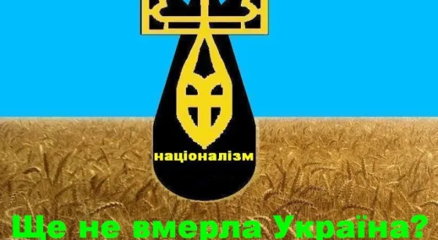 20 лет руины. Репортаж о Дне независимости в Ялте