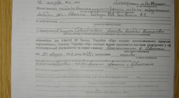 Общественные экологи настаивают на том, что на ул. Генерала Мельника были уничтожены краснокнижные сосны Станкевича