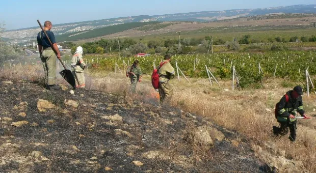 За минувшую неделю в Севастополе тушили 33 пожара За минувшую неделю в Севастополе тушили 33 пожара