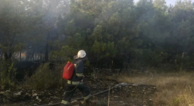 За минувшую неделю в Севастополе тушили 33 пожара За минувшую неделю в Севастополе тушили 33 пожара