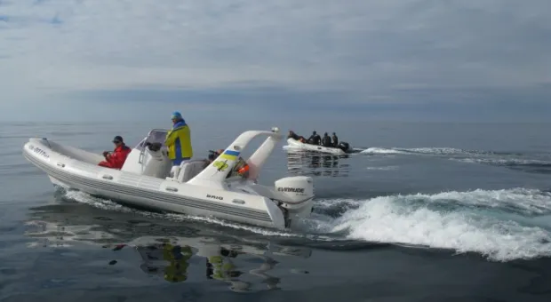 "Атолл" собрал подводных охотников 20-го чемпионата Украины