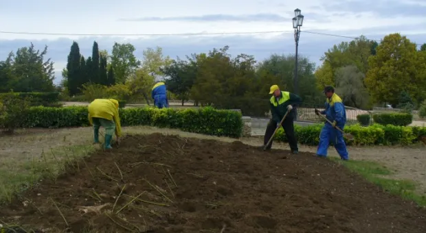 В Севастополе стартовала акция «Розы Севастополю!»