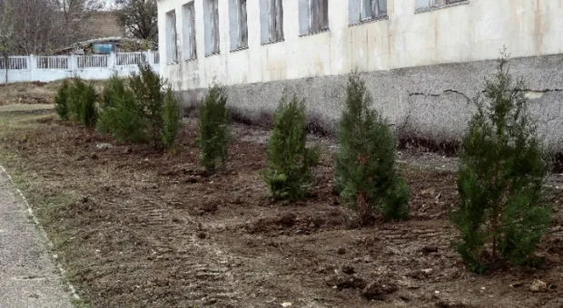 «Воспитать в наших детях чувство прекрасного, чувство гордости за нашу школу»