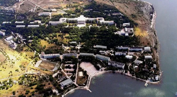 Питомцы «Голландии» отмечают юбилей Питомцы «Голландии» отмечают юбилей