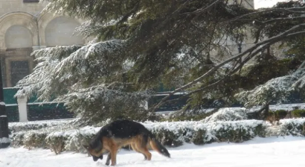 Прощай, зима! Весне - дорогу! Прощай, зима! Весне - дорогу!