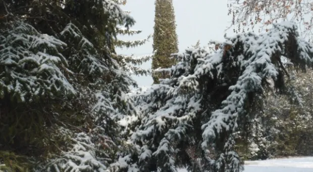 Прощай, зима! Весне - дорогу! Прощай, зима! Весне - дорогу!