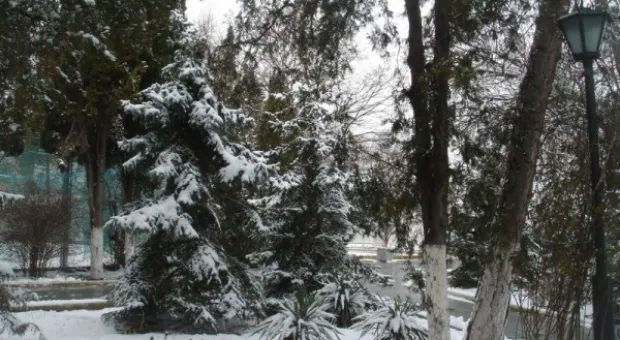 Прощай, зима! Весне - дорогу! Прощай, зима! Весне - дорогу!