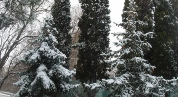 Прощай, зима! Весне - дорогу! Прощай, зима! Весне - дорогу!