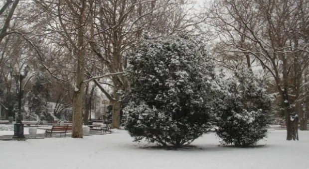 Прощай, зима! Весне - дорогу! Прощай, зима! Весне - дорогу!