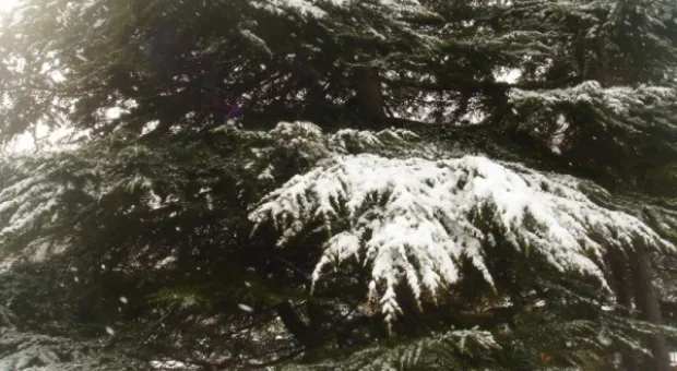 Прощай, зима! Весне - дорогу! Прощай, зима! Весне - дорогу!