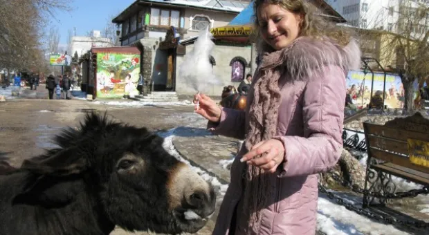 8 марта в детском городке «Лукоморье» 8 марта в детском городке «Лукоморье»