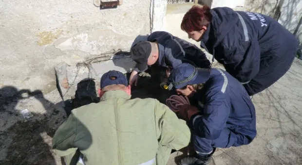 В Севастополе из люка глубиной 7 метров вытащили… собаку