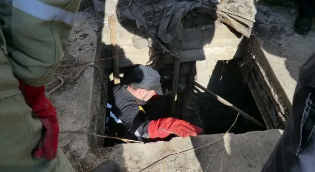 В Севастополе из люка глубиной 7 метров вытащили… собаку