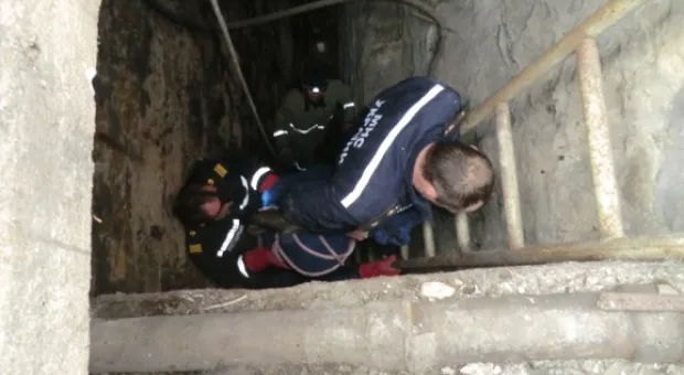 В Севастополе из люка глубиной 7 метров вытащили… собаку