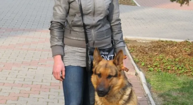 В Севастополе зоозащитники призвали городскую власть остановить травлю животных, а четвероногие друзья пикетчиков облаяли СГГА