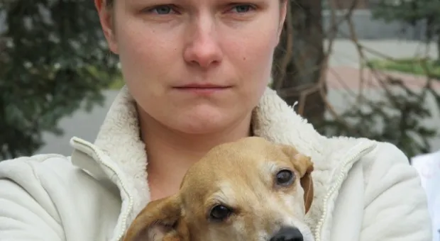 В Севастополе зоозащитники призвали городскую власть остановить травлю животных, а четвероногие друзья пикетчиков облаяли СГГА