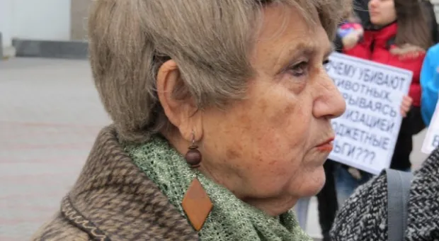 В Севастополе зоозащитники призвали городскую власть остановить травлю животных, а четвероногие друзья пикетчиков облаяли СГГА