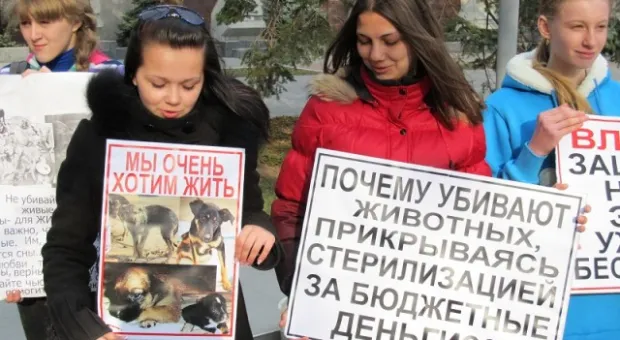 Зоозащитники курганинск. Логотип зоозащитников. Депутаты зоозащитники. Зоозащитники на английском.