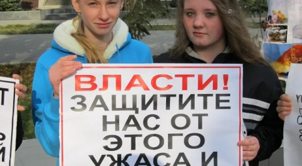 В Севастополе зоозащитники призвали городскую власть остановить травлю животных, а четвероногие друзья пикетчиков облаяли СГГА