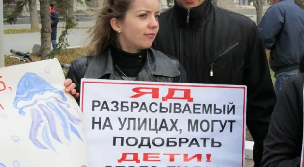 В Севастополе зоозащитники призвали городскую власть остановить травлю животных, а четвероногие друзья пикетчиков облаяли СГГА