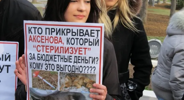 В Севастополе зоозащитники призвали городскую власть остановить травлю животных, а четвероногие друзья пикетчиков облаяли СГГА