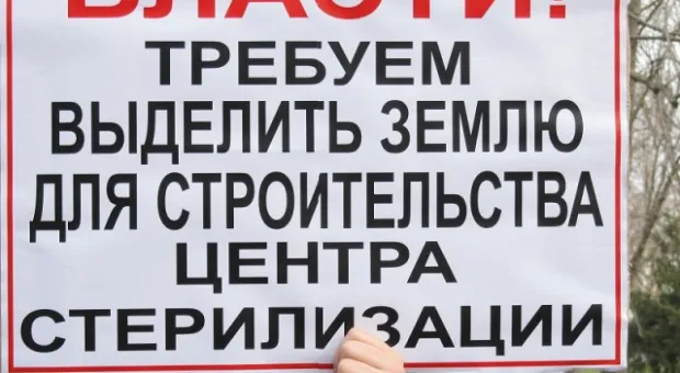 В Севастополе зоозащитники призвали городскую власть остановить травлю животных, а четвероногие друзья пикетчиков облаяли СГГА