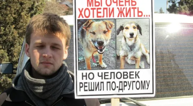 В Севастополе состоялся марш общественников в защиту бездомных животных