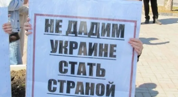 В Севастополе состоялся марш общественников в защиту бездомных животных