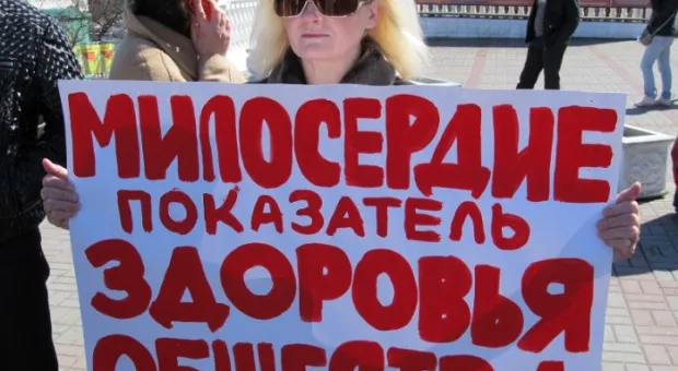 В Севастополе состоялся марш общественников в защиту бездомных животных