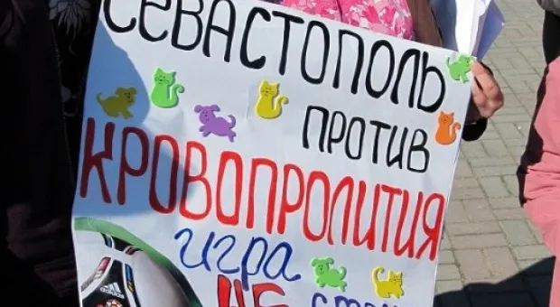 В Севастополе состоялся марш общественников в защиту бездомных животных