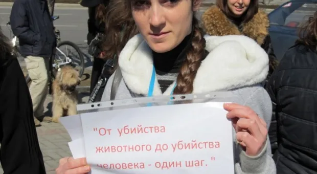 В Севастополе состоялся марш общественников в защиту бездомных животных