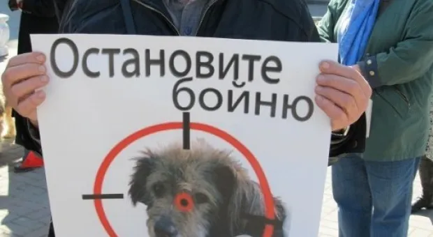В Севастополе состоялся марш общественников в защиту бездомных животных