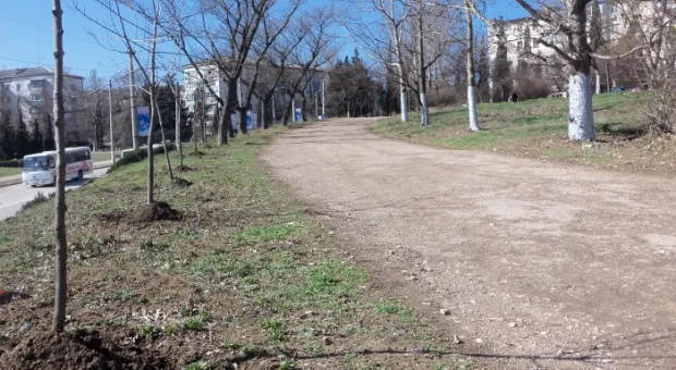 Почти 500 жителей Стрелецкого микрорайона решили объединиться в ОСН «Гагаринская аллея». «Не от хорошей жизни!..» - заявляют они