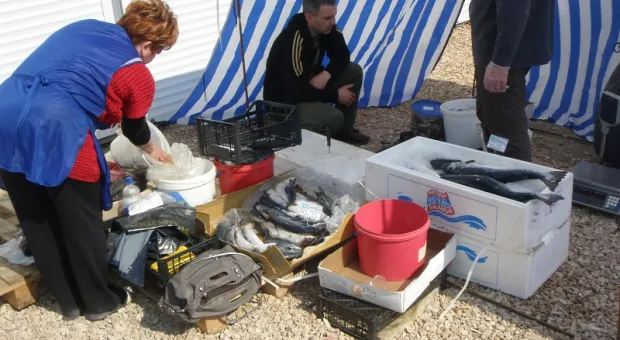 Севастопольские рынки: что такое хорошо и что такое плохо?