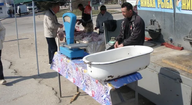 Севастопольские рынки: что такое хорошо и что такое плохо?