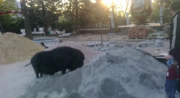 2 мая в детском городке «Лукоморье» отмечается семилетие Фунтика. К его дню рождения приурочен свинболл 2 мая в детском городке «Лукоморье» отмечается семилетие Фунтика. К его дню рождения приурочен свинболл