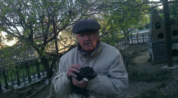 2 мая в детском городке «Лукоморье» отмечается семилетие Фунтика. К его дню рождения приурочен свинболл 2 мая в детском городке «Лукоморье» отмечается семилетие Фунтика. К его дню рождения приурочен свинболл