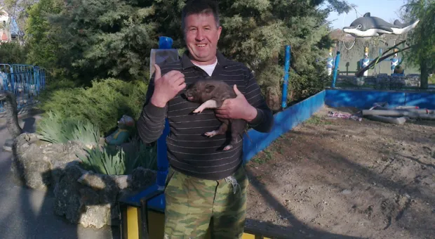 2 мая в детском городке «Лукоморье» отмечается семилетие Фунтика. К его дню рождения приурочен свинболл 2 мая в детском городке «Лукоморье» отмечается семилетие Фунтика. К его дню рождения приурочен свинболл